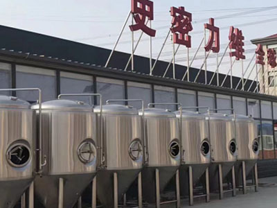 道县精酿啤酒设备厂—如何判断精酿啤酒设备的密封件需要更换？
